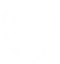 rr-iconx300